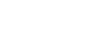 WC-300x166